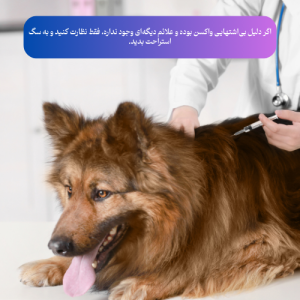 بی اشتهایی سگ به خاطر واکسن