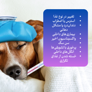 علت کم خوراکی سگ