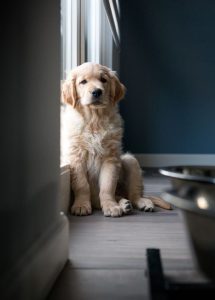 رتریور مناسب برای آپارتمان