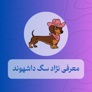 معرفی نژاد سگ داشهوند