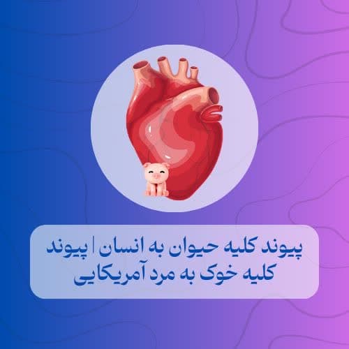 پیوند کلیه حیوان به انسان